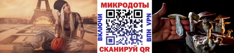 МЕГА зеркало  Новочеркасск  Галлюциногенные грибы Magic Shrooms  закладка 